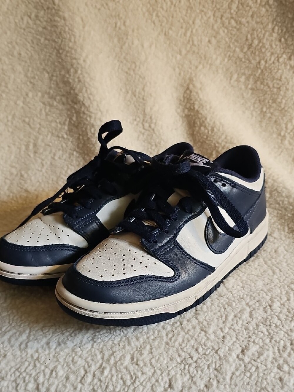 Nike Navy Blue Mesh Athletic Shoe